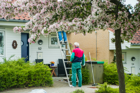 Så der gang i havearbejde